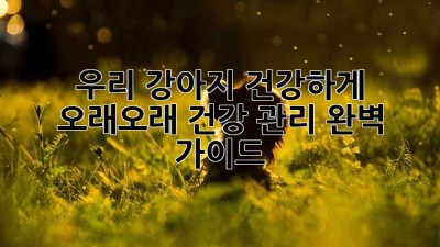 우리 강아지, 건강하게 오래오래! 건강 관리 완벽 가이드🐶