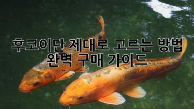 후코이단 제대로 고르는 방법: 완벽 구매 가이드