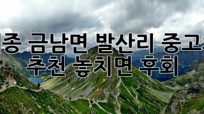 세종 금남면 발산리 중고차 추천🚗 놓치면 후회!